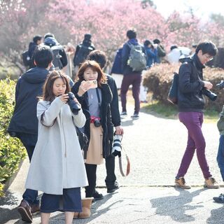 12/12(土)16時～木曽三川公園138タワーパークで撮り合いっこ🌻初心者歓迎‼🌟カメラ仲間がいると人生楽しくなります📷 − 愛知県