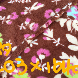引渡済　中古　テロテロ毛布 2点セット　花柄＆無地の画像