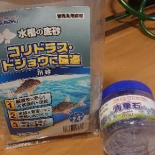 水槽、メダカ等含めまるまる一式！の画像