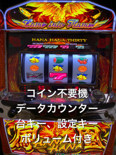 ハナハナ鳳凰　実機　家庭用　不要機　データカウンターセット