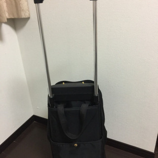 ⚠️❣️処分前お願いします！更に値引しました❣️ショッピングキャリーの画像
