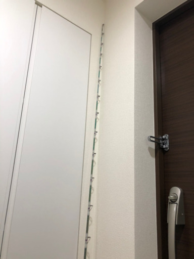 GrandEvo AirBlank Madai 245M(40〜100号)