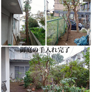 庭の手入れ店　木の伐採/剪定致します（所沢市狭山市志木市川越市〜） - 所沢市