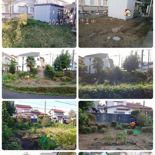 庭の手入れ店　木の伐採/剪定致します（所沢市狭山市志木市川越市〜） - 剪定/造園