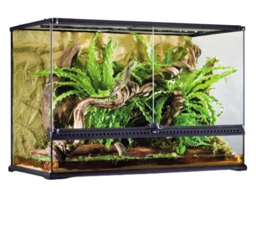 ★新品！GEX ジェックス　グラステラリウム　9060 PT2614 ランプステー付