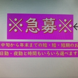 急募！年末まで短期/笹かまぼこの(1)製造(2)検査・梱包　他