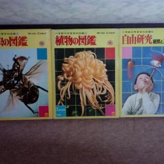 （売れました）植物図鑑　昆虫図鑑　自由研究