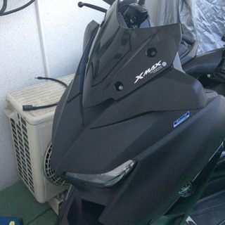 XMAX スポーツシールド‼️