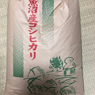 令和2年産、魚沼産コシヒカリ玄米３０キロ(十日町産)の画像