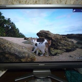 シャープ AQUOS テレビの中古が安い！激安で譲ります・無料で