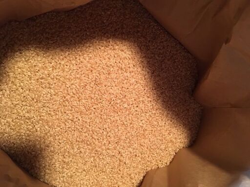 【玄米　３０ｋｇ　古米（２０１９年収穫）売ります。