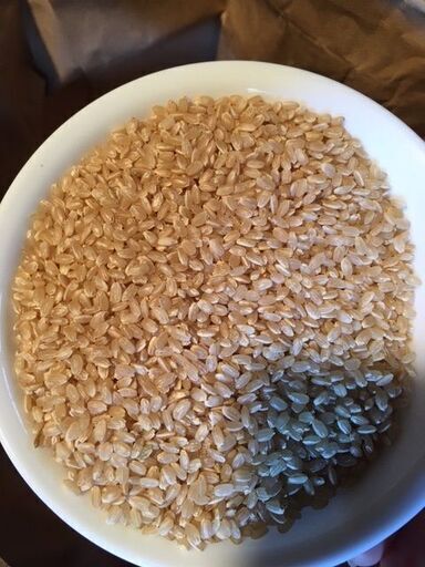 【玄米　３０ｋｇ　古米（２０１９年収穫）売ります。
