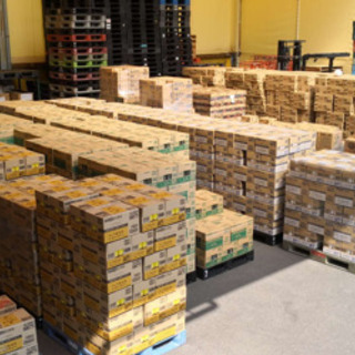 コンテナに商品積み込み作業 バンニング作業員募集の画像