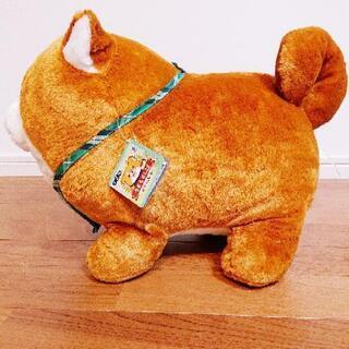 【引き渡し完了】忠犬もちしば あたらしいお友達 スクッとBIGぬいぐるみ ５周年 おかか こむぎ の画像