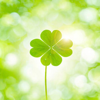 【パーソナル英語コーチング】中国滞在歴20年、英語圏でない場所でこそ英語ができることの大きさを知る英語コーチが、最も効果的なアプローチで英語学習をサポートします。の画像