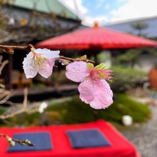 ゆる～くメンバー募集、神社巡り、きれいな風景、など  - メンバー募集