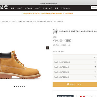 【新品】Timberland 6インチ　プレミアブーツ(20cm)の画像