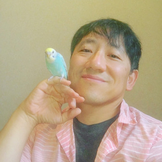 セキセイインコ友達募集