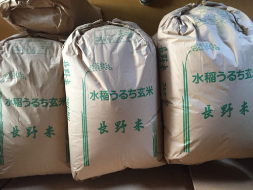 新米 コシヒカリ 30キロ