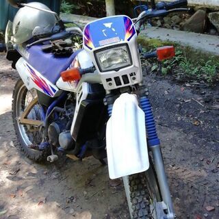 DT50　②　最終今月末まで