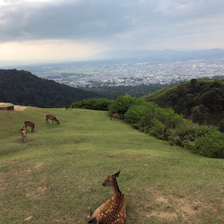 読書と哲学とお茶の会