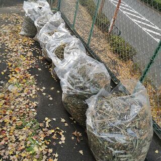 雑草の粉砕屑