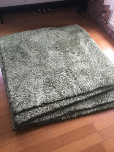 カーペット緑　100×100×6枚