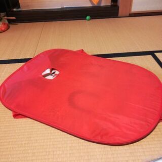 【商談中】アンパンマンのボール投げの画像