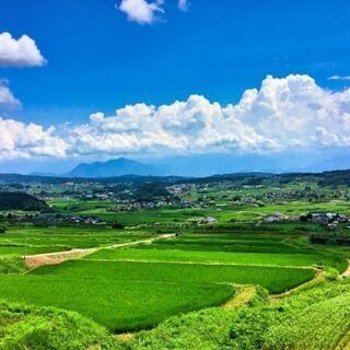 【夢をつかめる農業を体験しませんか？】日払いOK☆お試しでの短期...
