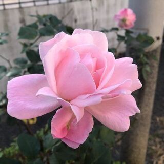 友達募集