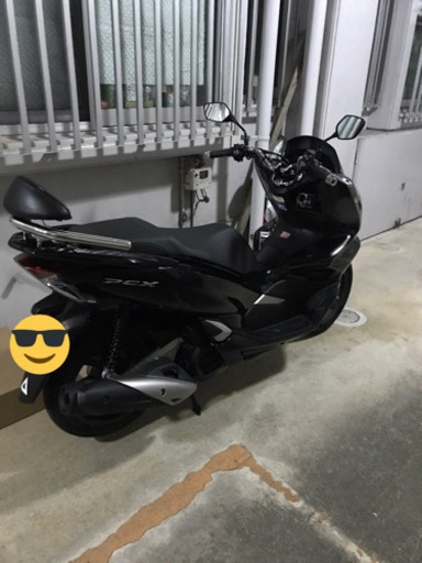 pcx jf81モデル