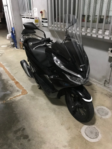 pcx jf81モデル