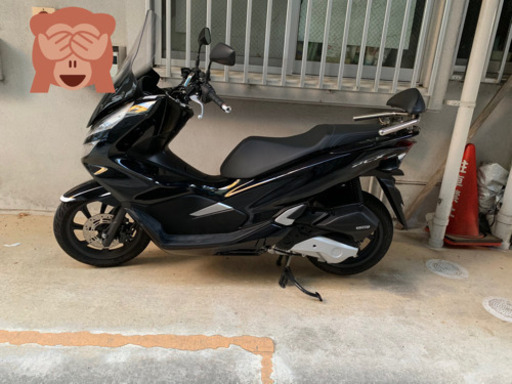 pcx jf81モデル
