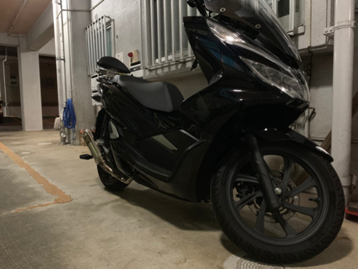 pcx jf81モデル