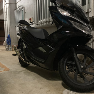 pcx jf81モデルの画像
