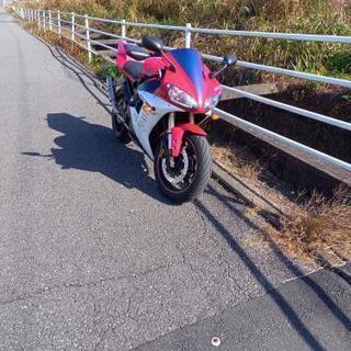 yzf-r1の画像