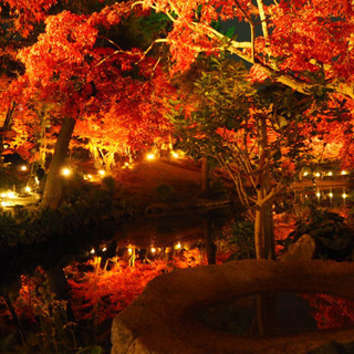 縮景園のライトアップ🍁