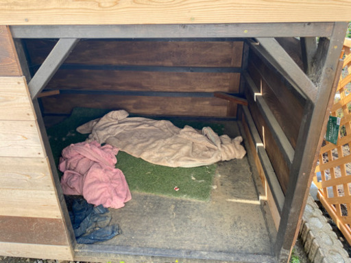 大型犬用 🐶 犬小屋 🐶