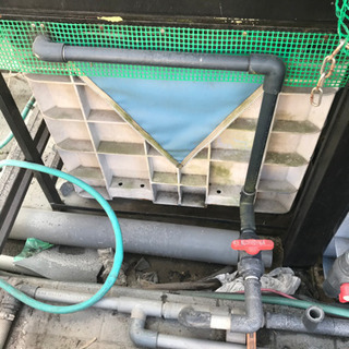 ★早い者勝ち★巨大水槽　サンコー  サンボックス★メダカや鯉を飼われている方に最適★の画像