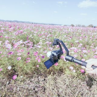 写真仲間募集