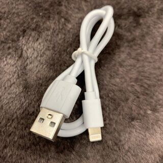 iPhone充電ケーブル30cm×20本【8/4値引】