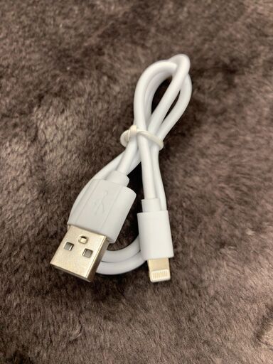 iPhone充電ケーブル30cm×100本