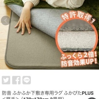 ホットカーペット本体&ふかふか下敷きラグ　2畳