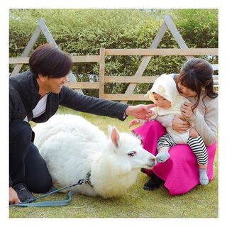 アルパカ・パカ写真館　12/13(日)