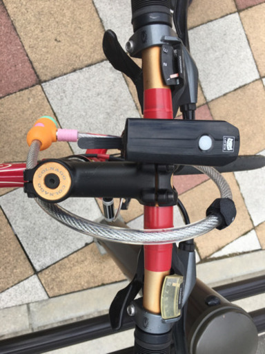 ゴルナゴ　RED