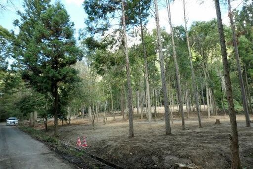 1,900坪・広大里山ほぼ平坦地。田舎暮らしのブランド丹波篠山の