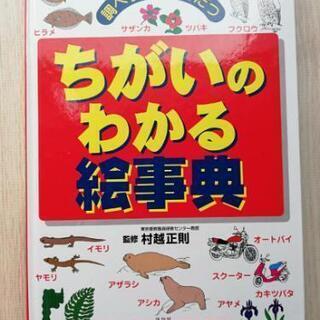 絵本・ちがいのわかる絵辞典【お届け可能】