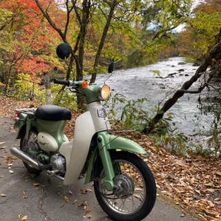 リトルカブ 50cc☆