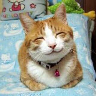 😊面白会😊🌆限定交流会🌆💐2020年11月27日💐