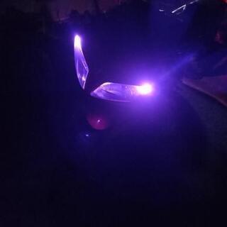 yzf-r1の画像